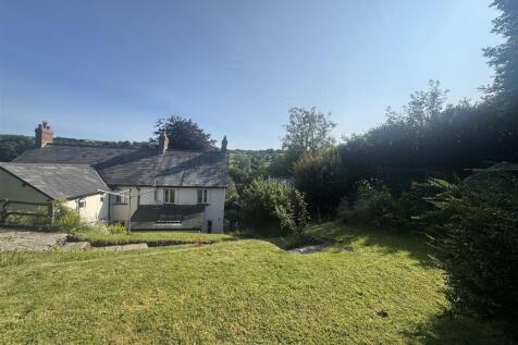 IMG_5119_enhanced (1).jpeg