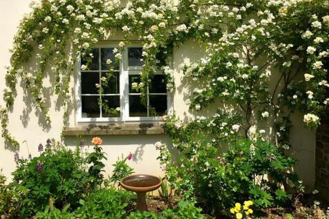 front window flowers.JPG