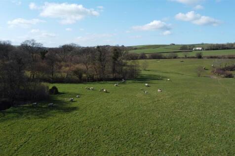 DJI_0761.JPG