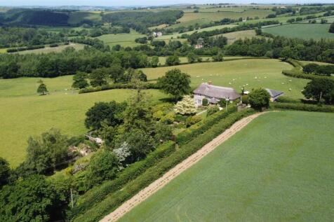DJI_0195.JPG
