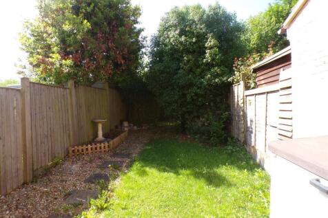 Back Garden