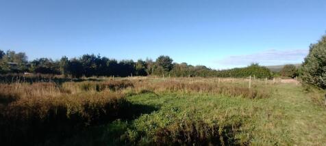 IMG_20241003_093333.jpg