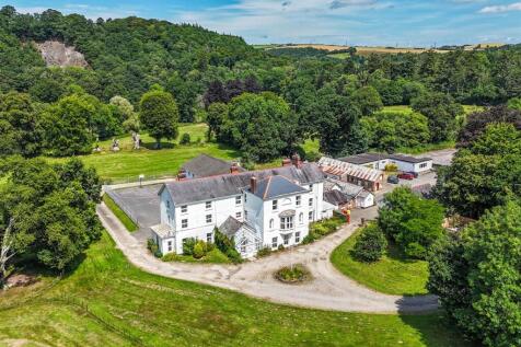 1319194 (2) Drone.jpg