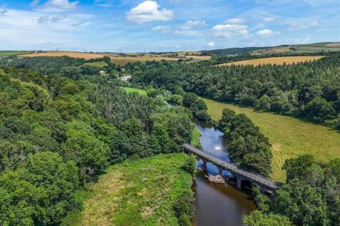 1319194 (6) Drone.jpg