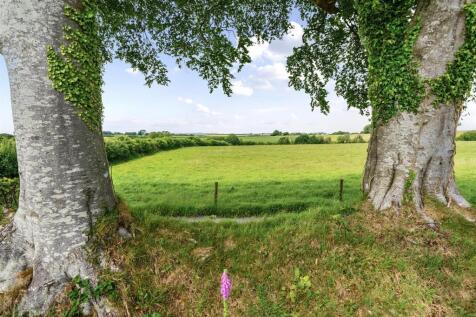 1304393-1-6839ce7a7e2dd Elevated (11).jpg