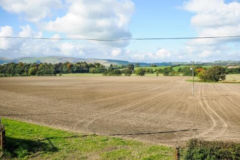 Surrounded by fields