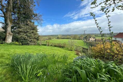 Garden and View