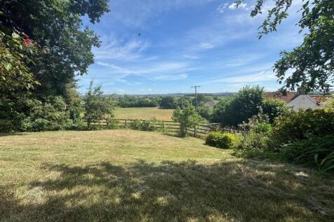 Garden and View
