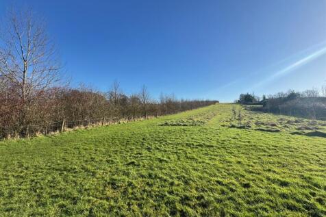 Bottom of the Paddock up