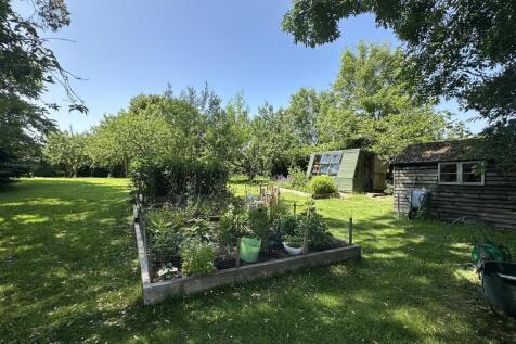 Vegetable Garden