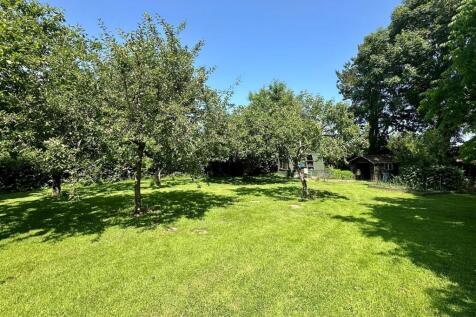Orchard