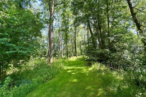 Woodland