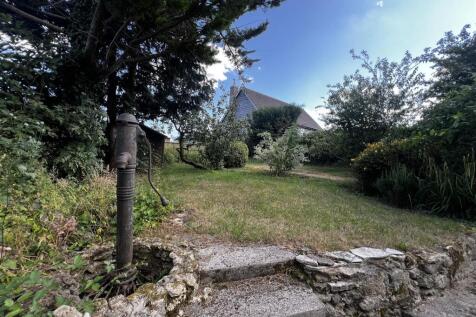 Garden with Pump