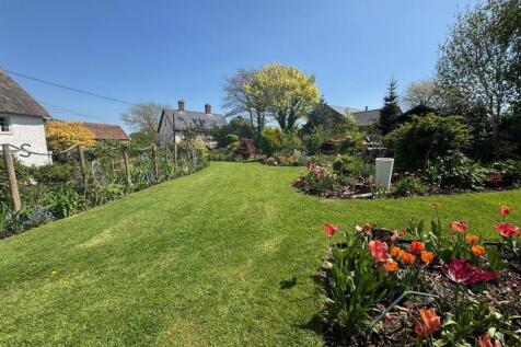 Back Garden