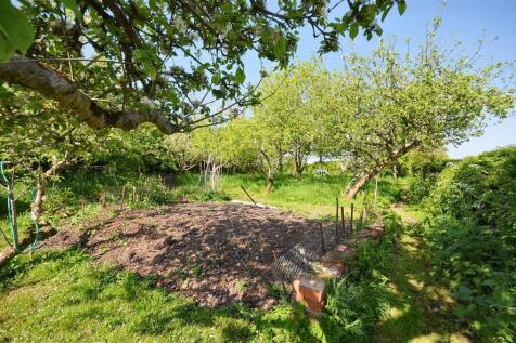 Orchard and Vegetable Garden