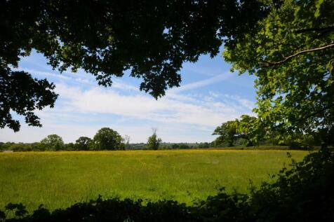 View from part of the Garden