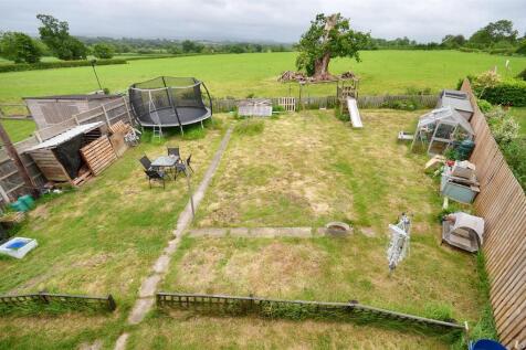 Garden and Fields