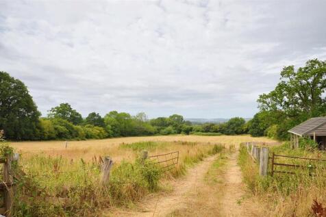 To the Fields
