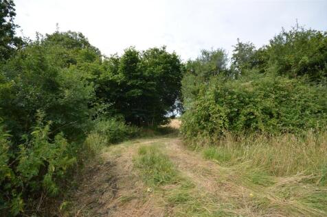 To the Second Field