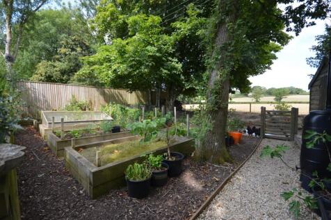 Veg Patch