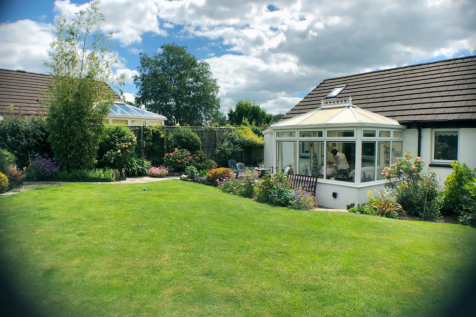 Garden 3.png