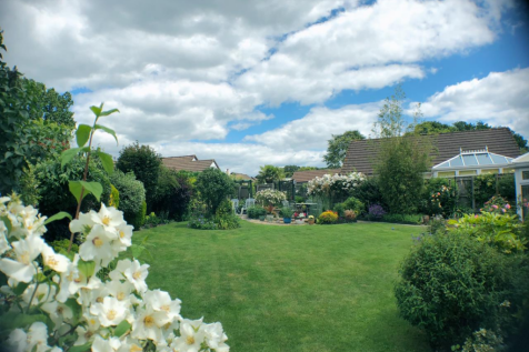 Garden 1.png