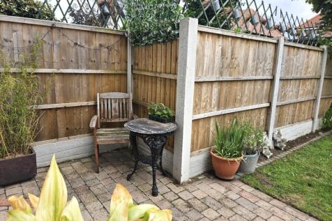 52 coro - garden pic2 - Copy.jpg