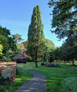 Haling Grove