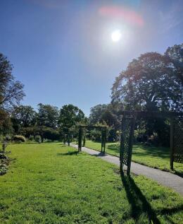 Haling Grove