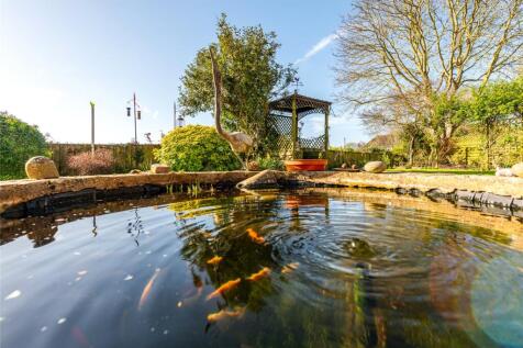 Pond