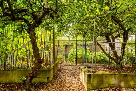 Kitchen Garden