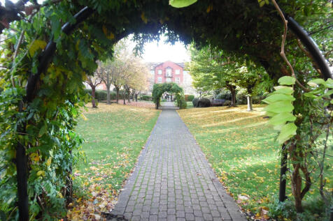 Communal Garden