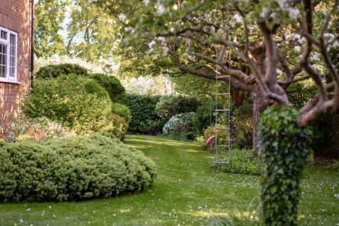 Property Image 31