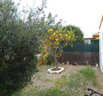 Property Image 60