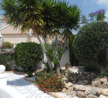 Property Image 60
