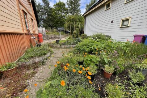 Side Garden.JPG
