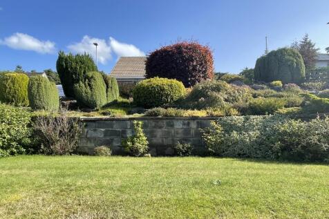 Front garden.JPG