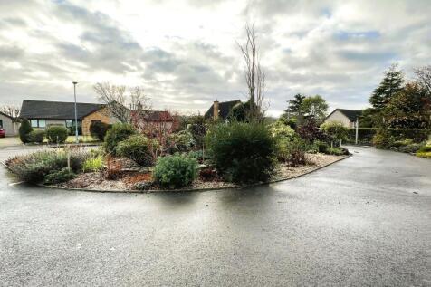front garden.JPG