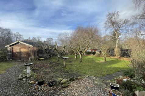Garden a.JPG