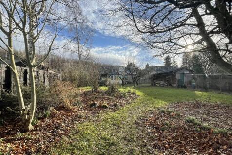 Garden c.JPG