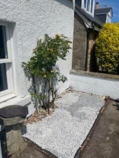 Garden a