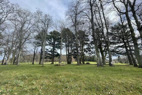 Park Opposite.JPG