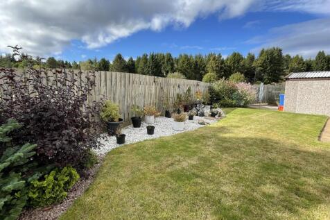 Garden.JPG