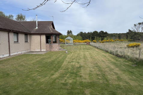garden rear.JPG