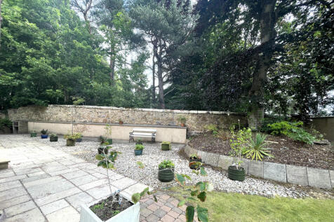 Side Garden.JPG