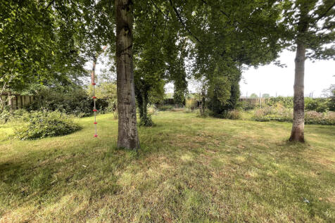 Garden c.JPG
