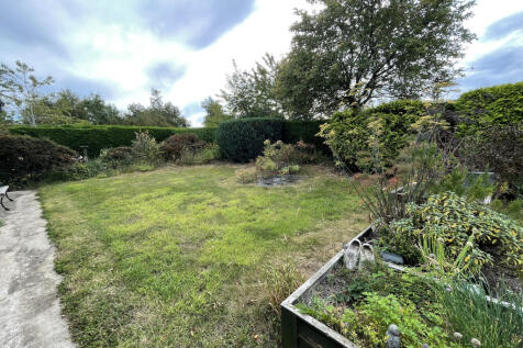 front garden.JPG