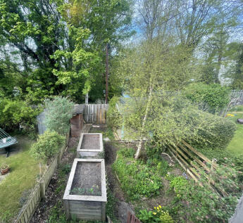 Garden.JPG