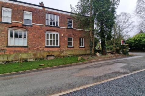 IMAGE 14