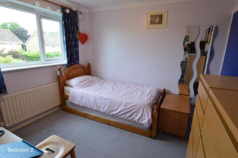IMAGE 7